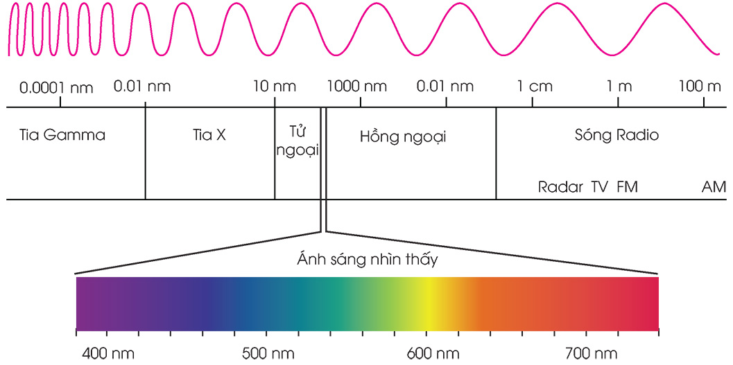 ánh sáng nhìn thấy của thị giác