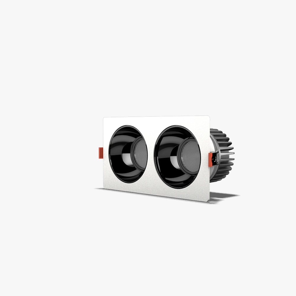Đèn LED âm trần Downlight 80x160/10Wx2 Plus