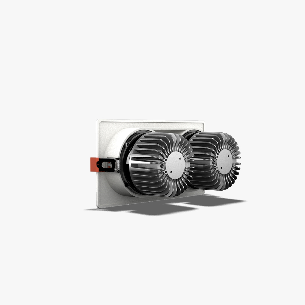 Đèn LED âm trần Downlight 80x160/10Wx2 Plus