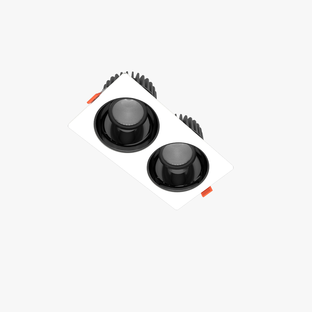 Đèn LED âm trần Downlight 80x160/10Wx2 Plus