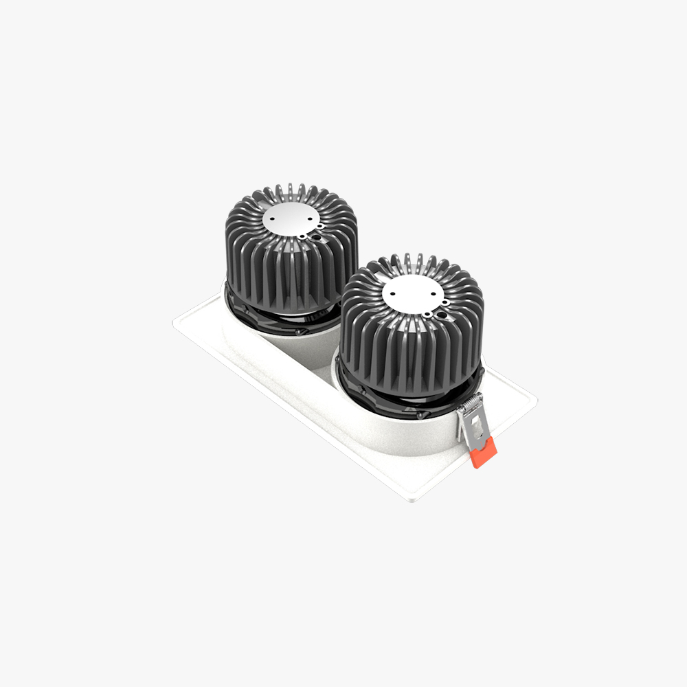 Đèn LED âm trần Downlight 80x160/10Wx2 Plus