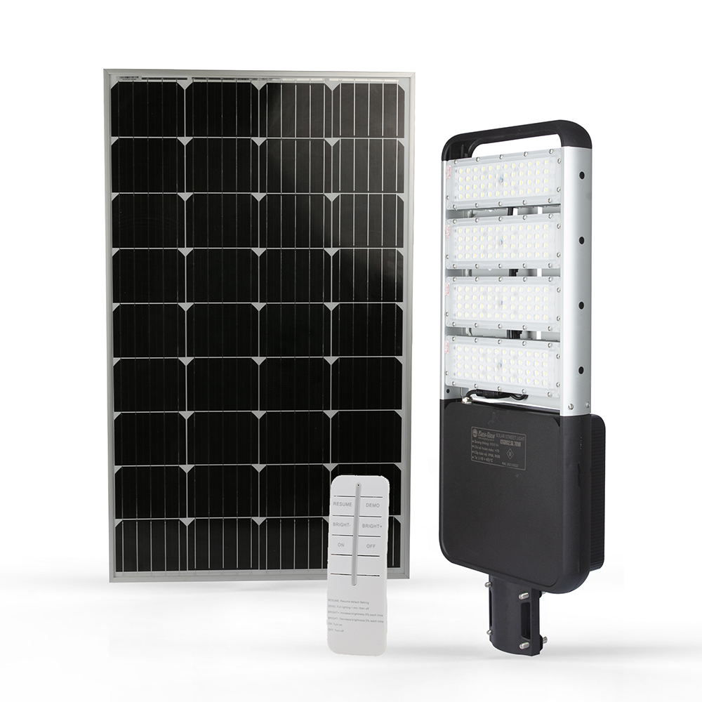 Đèn đường năng lượng mặt trời 100W