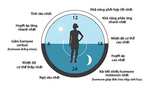 Tại sao ánh sáng có nhiệt độ màu 2700k-3000k lại giúp con người thư giãn, nghỉ ngơi vào ban đêm?