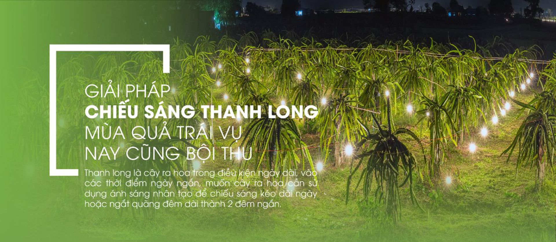 Đèn led thanh long 9W