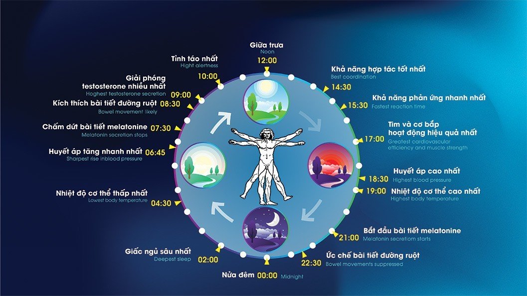 Ánh sáng có tác động như thế nào đến sức khỏe con người?