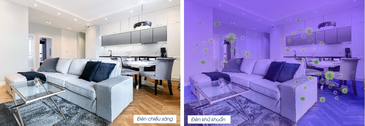Đèn Downlight diệt khuẩn Rạng Đông