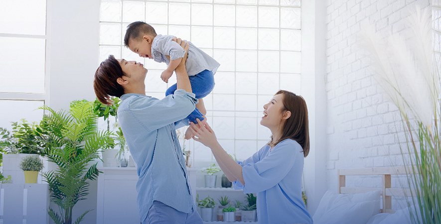 Đèn bắt muỗi Rạng Đông: Giải pháp an toàn cho không gian sống