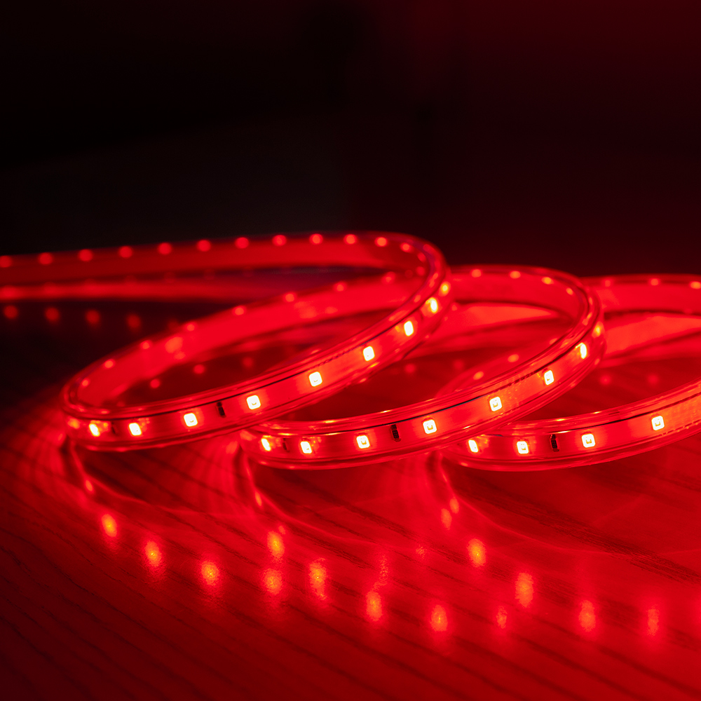 Led dây trang trí