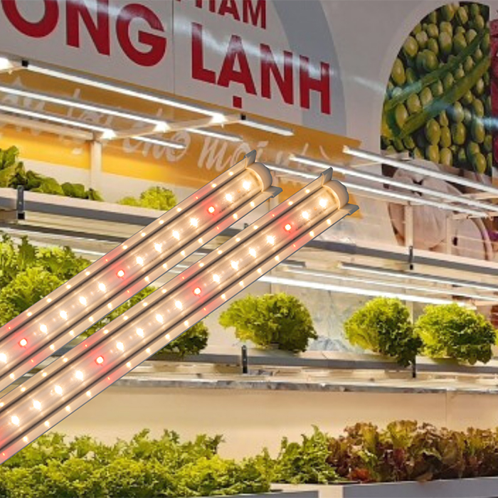 Đèn trồng rau